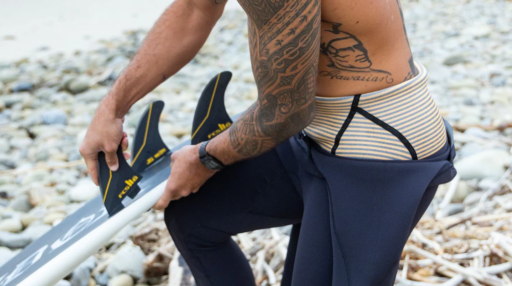 forro xcel comp 4.3 plus