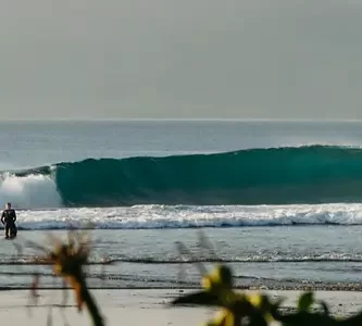 vissla high seas review